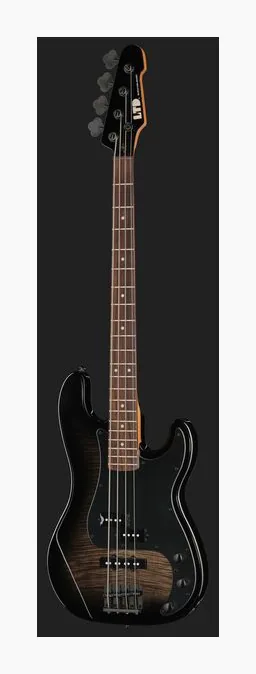 ESP LTD Surveyor-204DX BB, vue 2