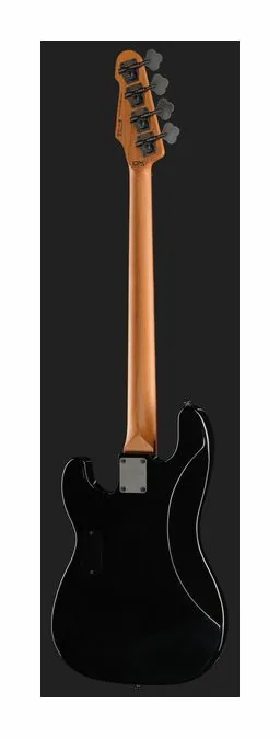 ESP LTD Surveyor-204DX BB, vue 3