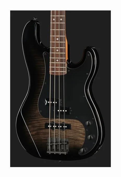 ESP LTD Surveyor-204DX BB, vue 4