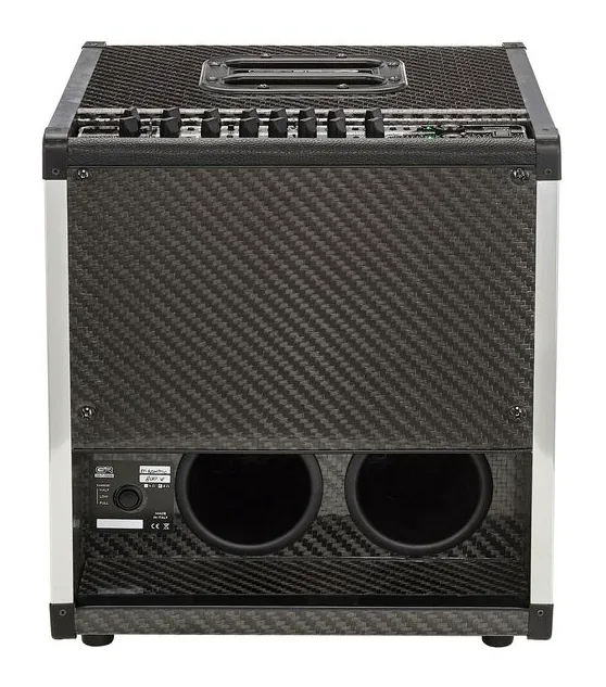 GR Bass AT Cube Acoustic, vue 4