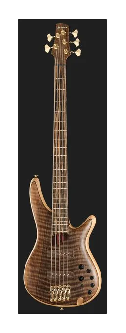 Ibanez IV1SR, vue 2