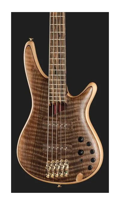 Ibanez IV1SR, vue 4