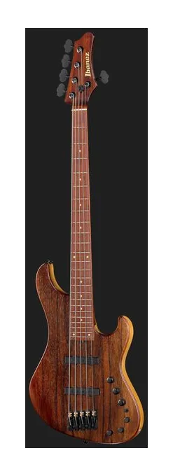 Ibanez IV2MDM Visions Mode, vue 2