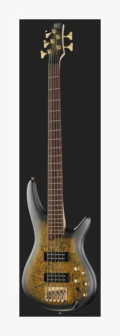 Ibanez SR305EDX-FDM, vue 2