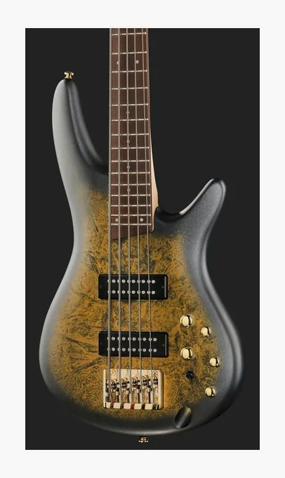 Ibanez SR305EDX-FDM, vue 4