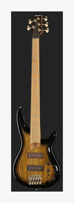 Ibanez SR4505-DST Prestige, vue 2