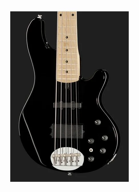 Lakland Skyline 55-02 5-String BK, vue 4