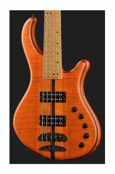 Mayones Guitars Patriot 5 Custom TOM, vue 4