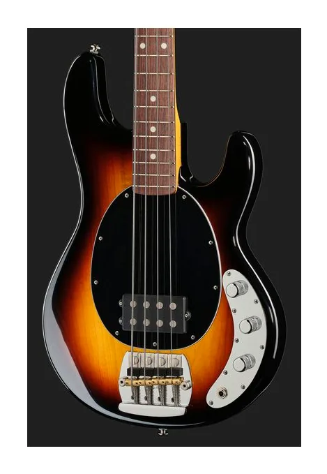 Music Man Pino Palladino StingRay, vue 4
