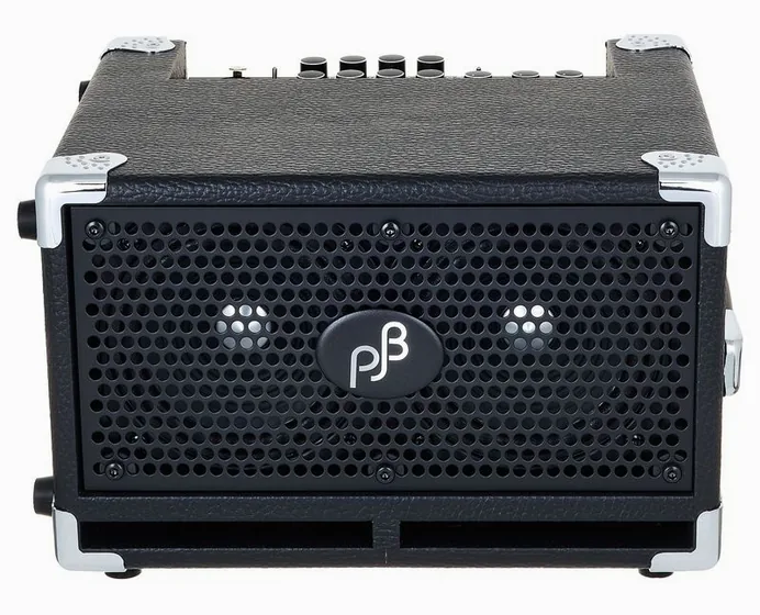 Phil Jones Bass BG-110 Cub II, vue 2