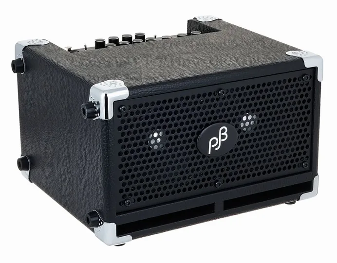 Phil Jones Bass BG-110 Cub II, vue 3