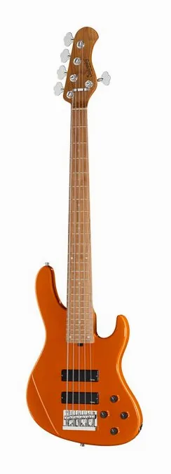Basses cinq cordes