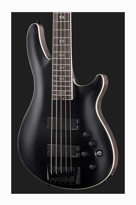 Schecter SLS Evil Twin-5 SBK, vue 4