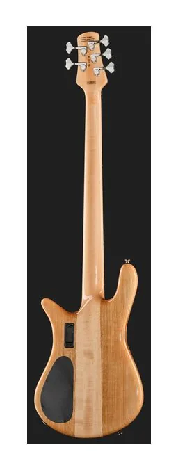 Spector Euro 5 CST Spalted Maple Ltd, vue 3