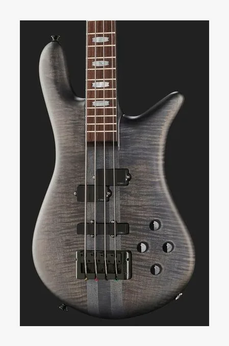 Spector Euro LX 4 BSM, vue 4