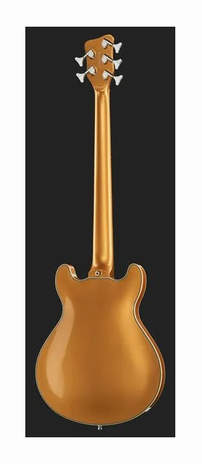 Warwick RB Star Bass 5 MGHP, vue 3