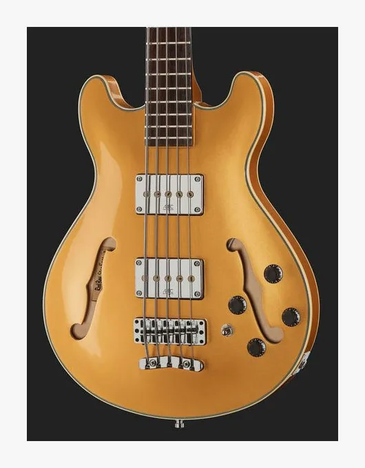 Warwick RB Star Bass 5 MGHP, vue 4