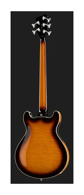 Warwick RB Star Bass 5 VSTHP, vue 3