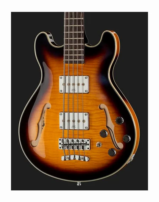 Warwick RB Star Bass 5 VSTHP, vue 4
