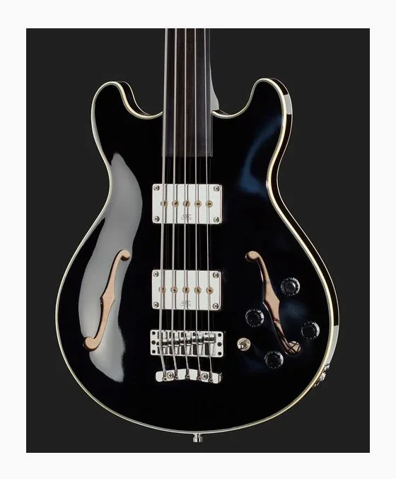 Warwick RB StarBass5 Black HP fretless, vue 4