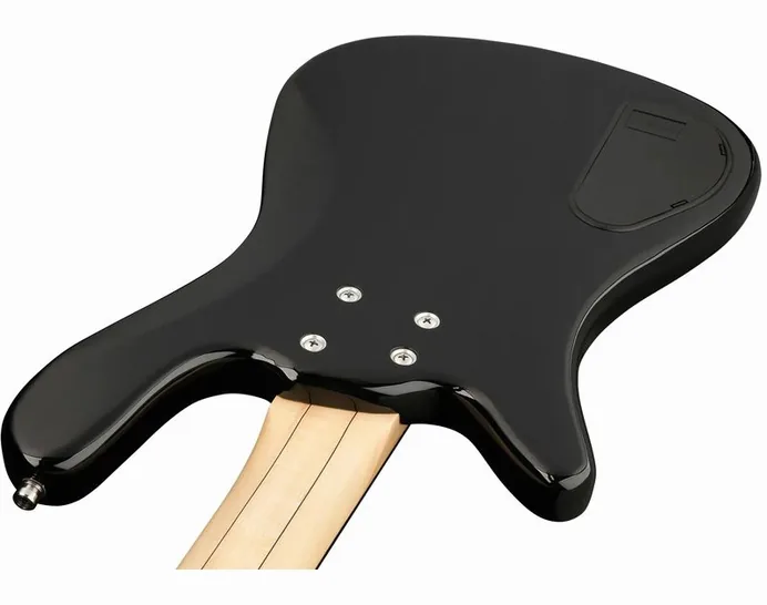 Warwick RB Streamer LX 4 SB HP FL, vue 4