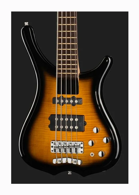 Warwick RockBass Infinity 5 VSTHP, vue 4