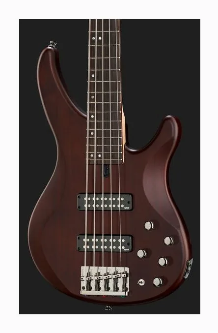 Yamaha TRBX 505 TBN, vue 4